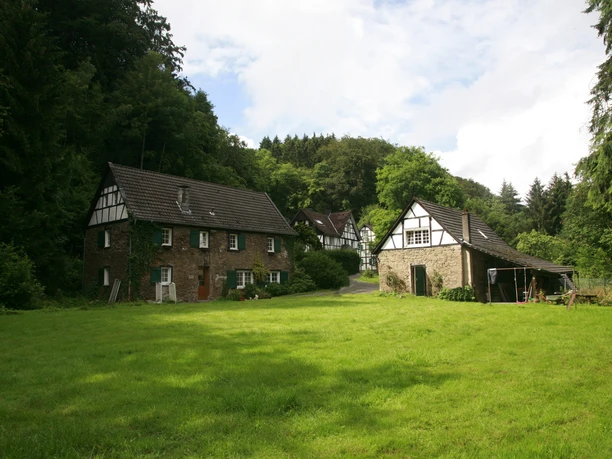 Steiner Mühle Fachwerkhäuser mit grünen Wiesen, umgeben von dichten Wäldern unter einem bewölkten Himmel.