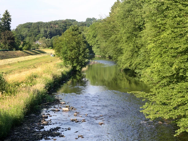 Agger Fluss fließt durch grüne Landschaft, von Bäumen gesäumt; ruhige, idyllische Naturszene.
