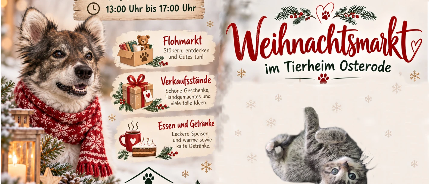 Weihnachtsmarkt im Tierheim Weihnachtsmarkt im Tierheim