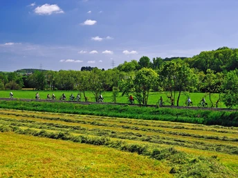 Die Bahntrasse in Wipperfürth Eine Radlergruppe fährt auf einem Weg durch eine idyllische, grüne Landschaft mit strahlendem Himmel.