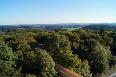 Blick vom Aussichtsturm auf Panarbora Panoramablick über eine bewaldete Hügelkette mit Blick auf grüne Täler und weiten Himmel im Hintergrund.