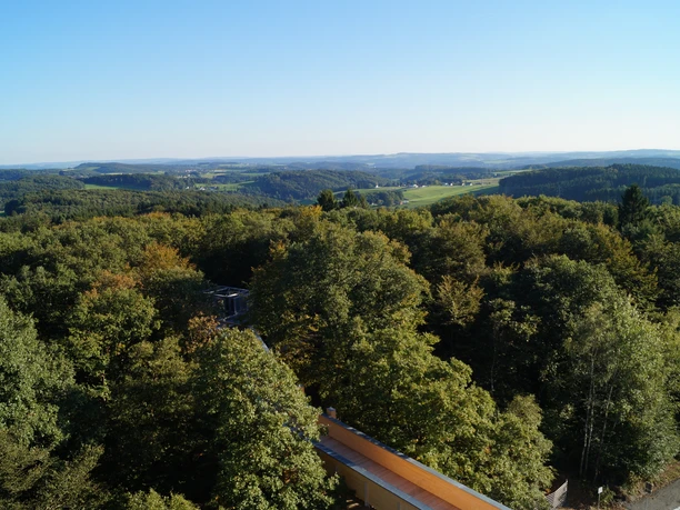 Blick vom Aussichtsturm auf Panarbora Panoramablick über eine bewaldete Hügelkette mit Blick auf grüne Täler und weiten Himmel im Hintergrund.