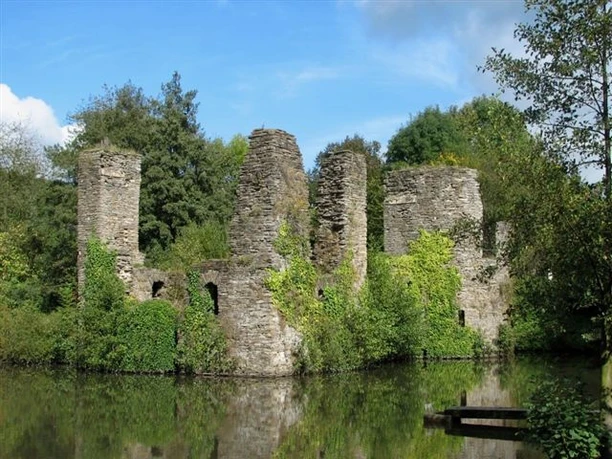 Burgruine Eibach Ruinen einer mittelalterlichen Burg mit von Pflanzen bewachsenen Mauern, umgeben von einem Wassergraben.