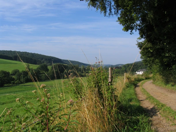 Voßbruchtal bei Lindlar Ein sandiger Weg schlängelt sich durch eine malerische, grüne Landschaft mit Wiesen und Wäldern.