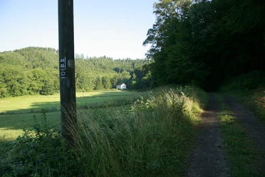 Aue Fachwerk Waldweg führt durch grünes Tal zu einem weißen Haus, umgeben von Bäumen und Wiesen im Sonnenlicht.