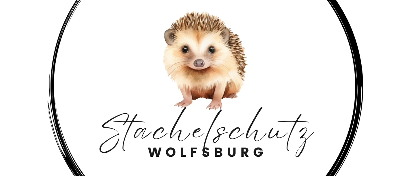 Igel Logo_transparent (003).png Igel Logo_transparent (003).png