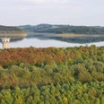 Blick auf die Dhünntalsperre Blick auf den Stausee mit bewaldetem Ufer, sanften Hügeln und dem Turm der Talsperre.