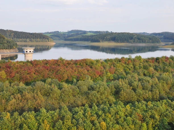 Blick auf die Dhünntalsperre Blick auf den Stausee mit bewaldetem Ufer, sanften Hügeln und dem Turm der Talsperre.