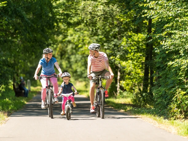 Familie beim Fahrradfahren Familie fährt auf Fahrrädern durch grünen Wald auf sonnigem Weg, Vater, Mutter und Kind glücklich.