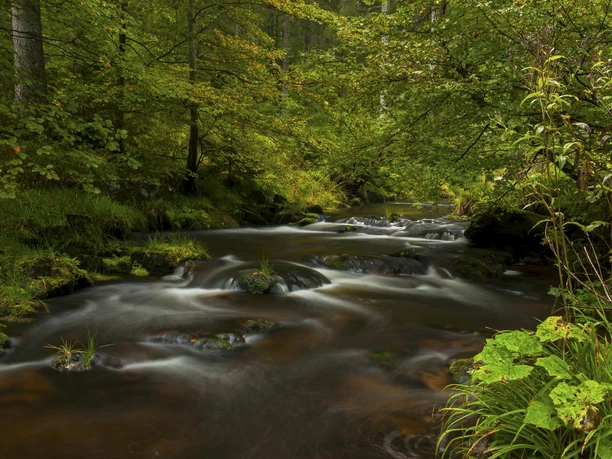 An der wilden Schönmünz An der wilden Schönmünz
