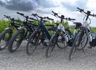 bikes evorad
