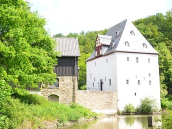 Burg Overbach Historisches Wasserschloss mit Fachwerkhaus im Grünen, umgeben von Bäumen und einem stillen Fluss.