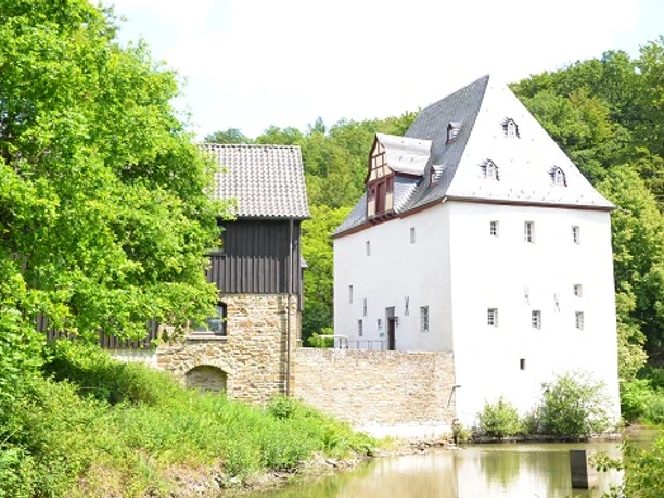 Burg Overbach Historisches Wasserschloss mit Fachwerkhaus im Grünen, umgeben von Bäumen und einem stillen Fluss.