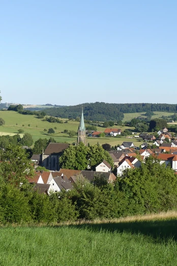 Ausblick auf Sandebeck Blick über grüne Wiesen und Bäume auf das Dorf Sandebeck mit seiner markanten Kirchturmspitze im Zentrum.
