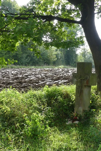 Steinernes Kreuz neben einem Baum am Feldrand, umgeben von dichter Vegetation und Ackerboden.