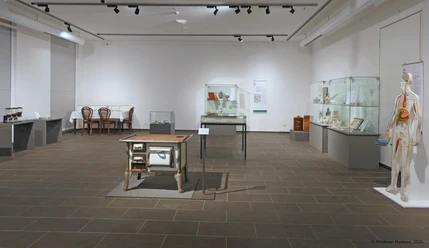 Auf dem Bild wird der Ausstellungsraum zu diesem Thema mit den entsprechenden Vitrinen gezeigt.