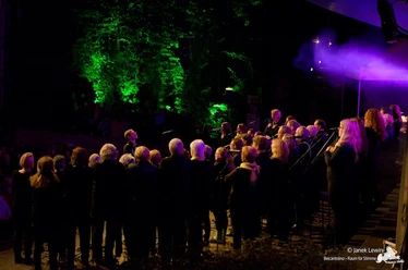 One Day Choir Auf dem Bild sind Chorsänger und Chorsängerinnen zu sehen.