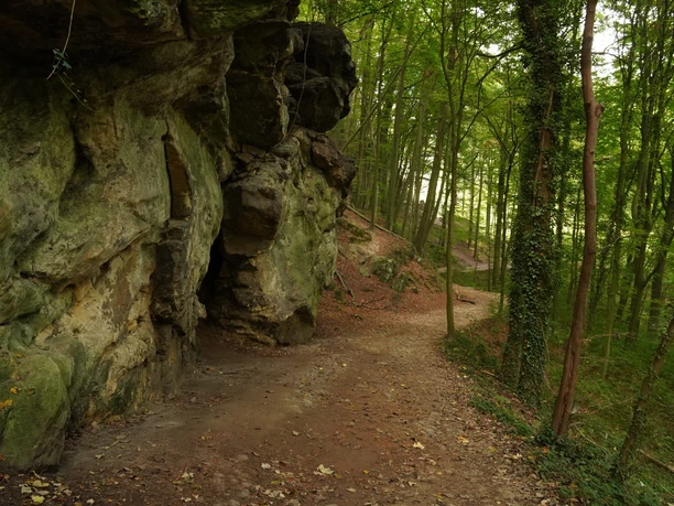 Der Halbenweg führt oft an Felsen entlang durch den Wald bei Hohnstein Der Halbenweg führt oft an Felsen entlang durch den Wald bei Hohnstein