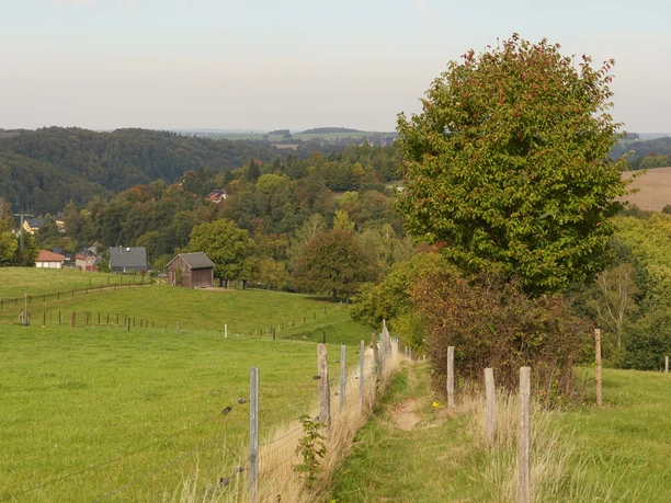 Der Weg führt zwischen Weiden hindurch zurück in den Ort Der Weg führt zwischen Weiden hindurch zurück in den Ort