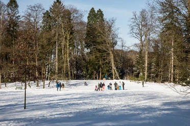 Rodelhügel Menschen auf einem verschneiten Rodelhügel im Stadtpark Gütersloh vor winterlichen Bäumen.