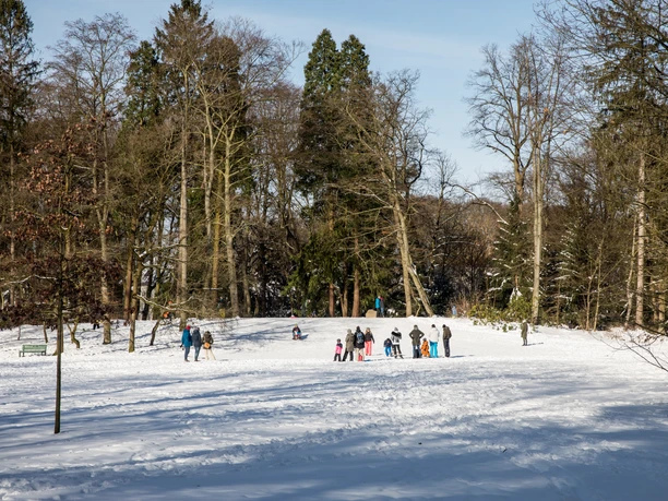 Rodelhügel Menschen auf einem verschneiten Rodelhügel im Stadtpark Gütersloh vor winterlichen Bäumen.