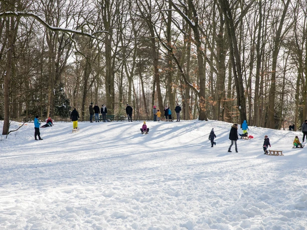 Menschen und Kinder rodeln auf einem verschneiten Hang im Wald.