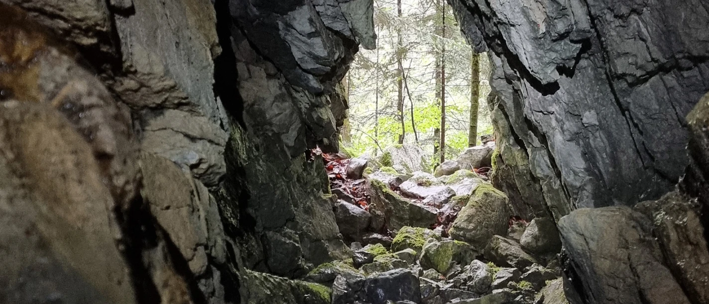VORTRAG Geheimnisvolles Leben Höhle VORTRAG Geheimnisvolles Leben Höhle