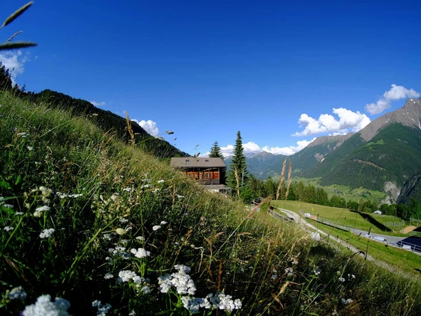 Walliserhaus mit der Wohnung Greicherstube Eine idyllische Berglandschaft mit blühenden Wiesen und einem klaren blauen Himmel. Im Hintergrund ein Walliserhaus mit der Wohnung Greicherstube sichtbar.
