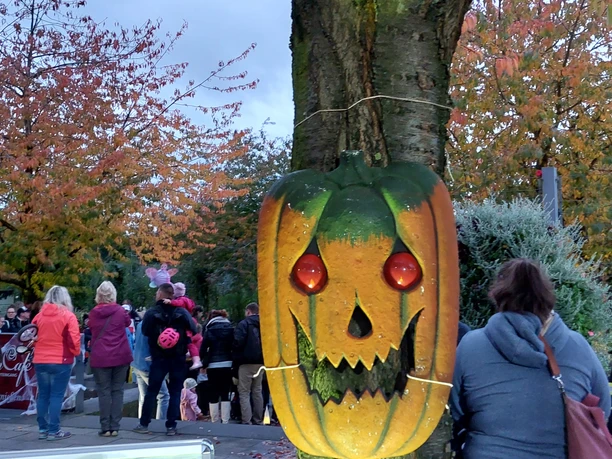 Hagebuttenführung in Europa-Rosarium Sangerhausen Hagebuttenführung in Europa-Rosarium Sangerhausen