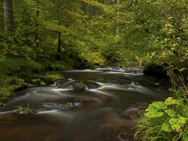 An der wilden Schönmünz An der wilden Schönmünz