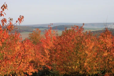 Herbstfarben