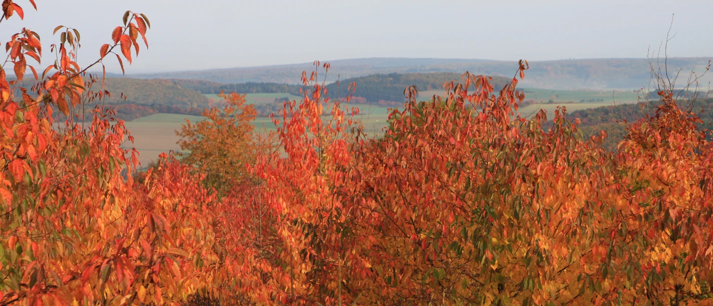 Herbstfarben Herbstfarben