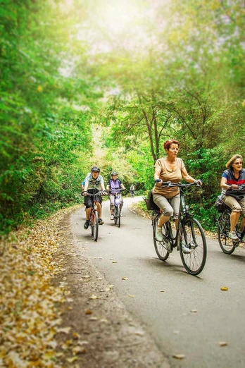 recarbo_radweg_-transmedial-1