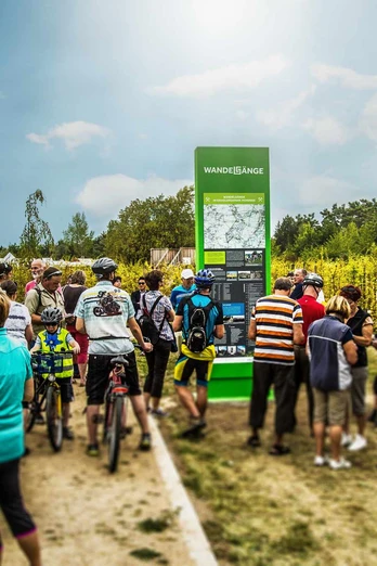 recarbo_radweg_-transmedial-2