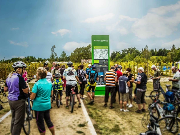 recarbo_radweg_-transmedial-2