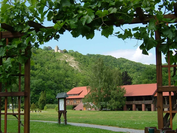 thueringer-weintor-bild-2