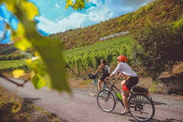 auf-dem-saaleradweg-durchs-saale-unstrut-weinanbau-gebiet_etappe-6_c_vinvent_graetsch