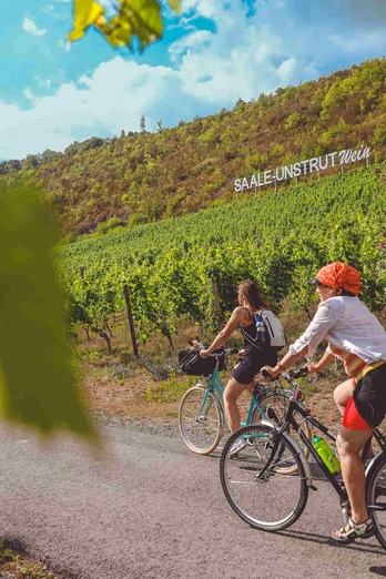 auf-dem-saaleradweg-durchs-saale-unstrut-weinanbau-gebiet_etappe-6_c_vinvent_graetsch