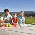 Picknick mit der Familie