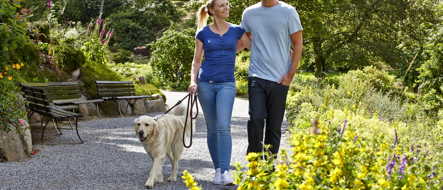 Spaziergang im Kurpark