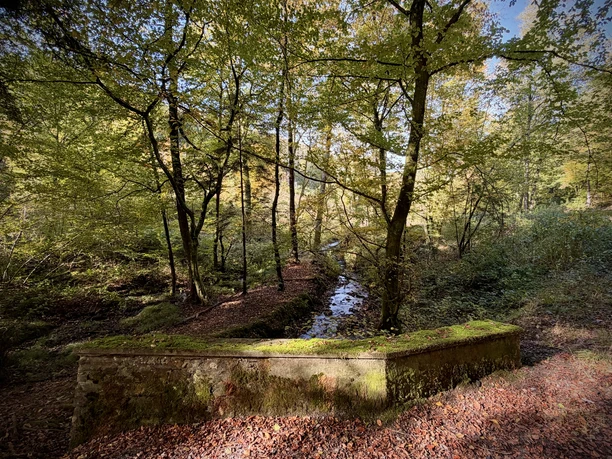 Friedrichsquellen_Foersterweg_IriWuenschmann-Dick_CCbySA Friedrichsquellen_Foersterweg_IriWuenschmann-Dick_CCbySA
