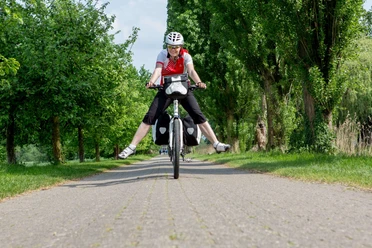 Radtour durch das Osnabrücker Land Radfahrer auf ländlichem Weg, breit lächelnd, Hände los, umgeben von grünen Bäumen und Natur.