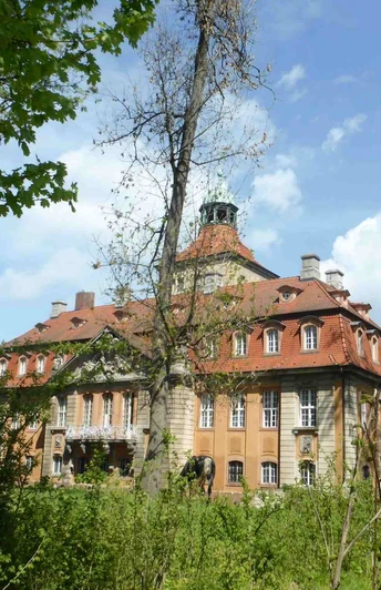 wasserschloss-muecheln