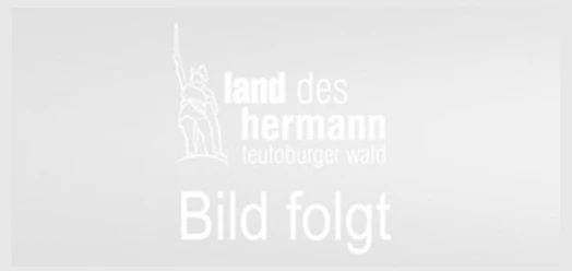 selected_selected_selected_cropmiddle_Land_des_Hermann_Bild_folgt_16.png