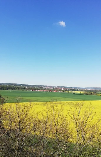 Blick nach Naumburg