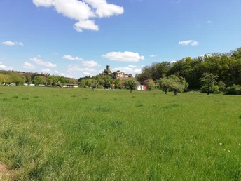 Blick zur Schoenburg