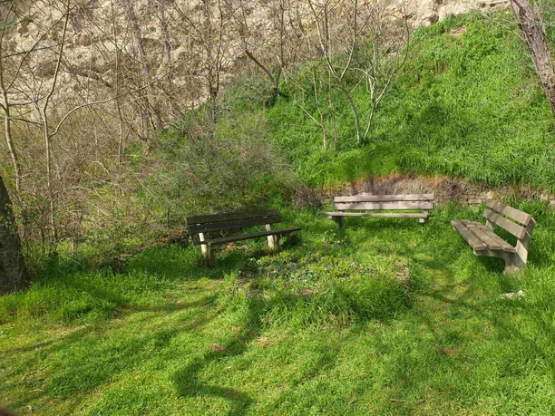 lauschiges_picknick_plaetzchen