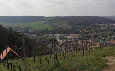 ausblick_freyburg