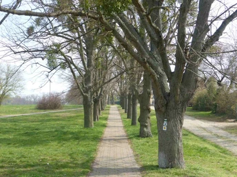 beginn-der-wanderung