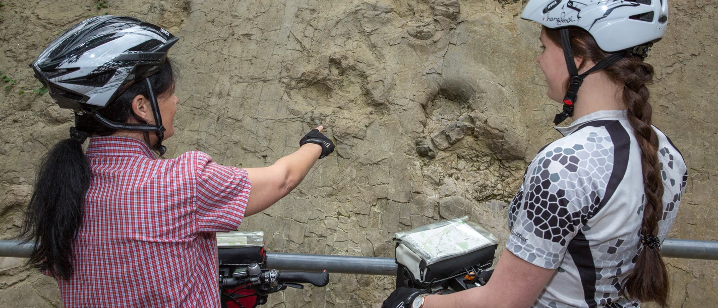 Saurierfährten in Bad Essen Zwei Radfahrer betrachten interessiert Fossilienspuren in einer Felswand.